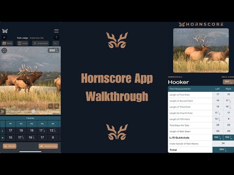 HornScore