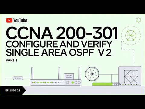 Configure and Verify Single Area OSPFv2 | Part 1 | CCNA 200-301  |Routing Protocol Routing  | CCNA