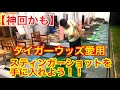 【神回かも】タイガーウッズがよく使っているスティンガーショットを打つ為のドリル【ゴルフレッスン】