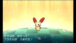 プラスル ポケットモンスター カプ レヒレ ニューラ オドリドリ