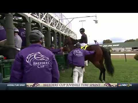 Breeders cup juvenile turf sprint - 2018 (Churchill Downs)