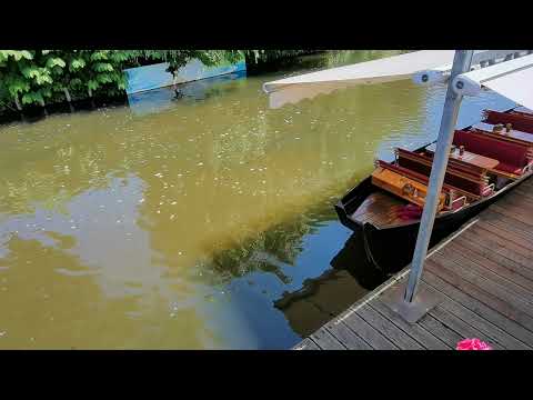 Fische am Spreehafen Burg - Burg (Spreewald)