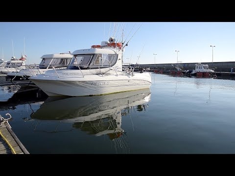 DETOX II - Łosoś Bałtyku | Baltic Sea Salmon Fishing | Szymon Szymański