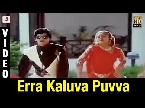 Yamaleela - Erra Kaluva Puvva Video (Telugu) | Ali, Indraja
