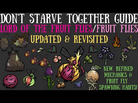 Lord of The Fruit Flies/Fruit Flies Updated & Revisited - Don't Starve Together Guide
