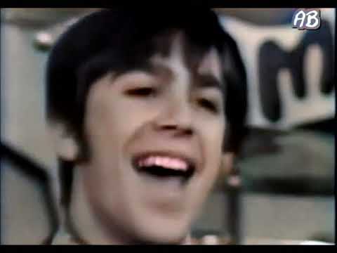 Bend Me Shape Me  - The American Breed