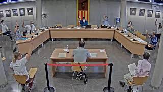 Ple extraordinari de 10 de juliol de 2020