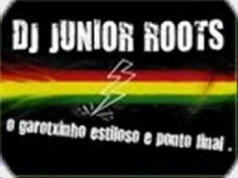 alma gemea 2010-dj junior roots