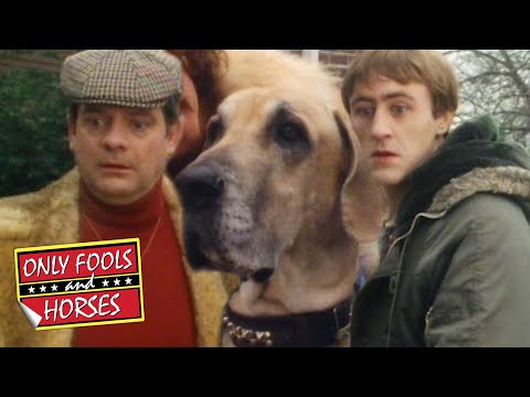 Giving the Dog's Medication to Uncle Albert! | Only Fools and Horses | BBC Comedy Greats