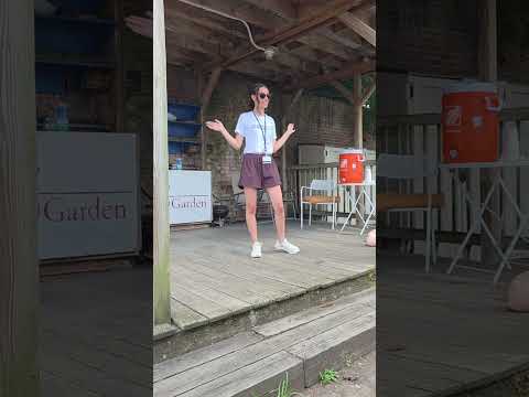 Sundays @ Brewerytown Garden