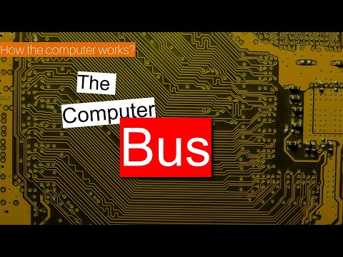 The Bus | How the computer works?