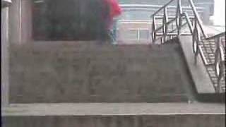 vid + soaring quails