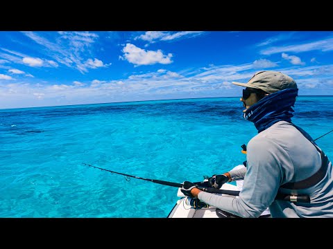 YouTube video about: Are there fish in the blue lagoon?