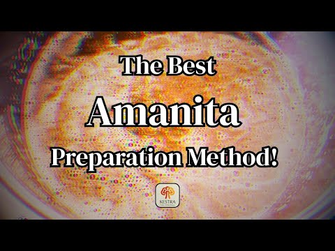 The Best Amanita Muscaria Preparation Guide: Part 1 - The Stimulating Blend