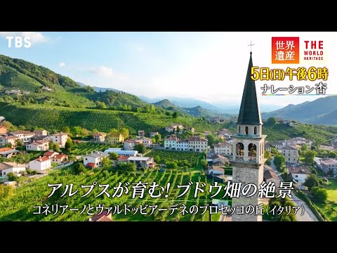 豪華なプール-スペインデザイン-グリーンウォール