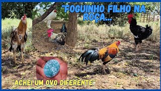 LEVEI um GARNIZÉ para ROÇA 