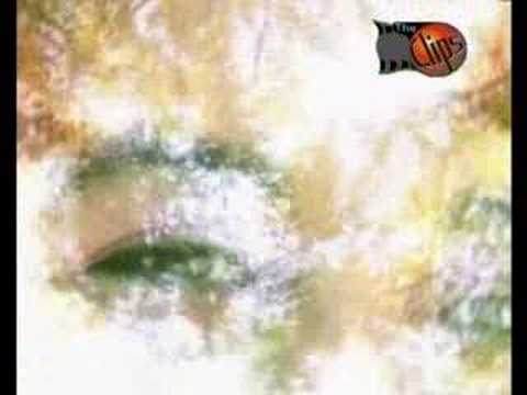 Soyyay Meni - Wepa Jumayew