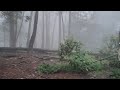 Guna Cave Kodaikanal Guna Kodaikanal Trending Status Whatsappstatus Tamil Tamilstatus