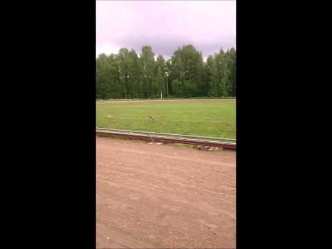 Ensimmäinen kerta moottorivieheellä