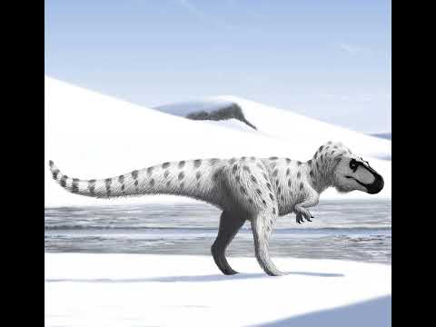 dinopedia:nanuqsaurus hoglundi