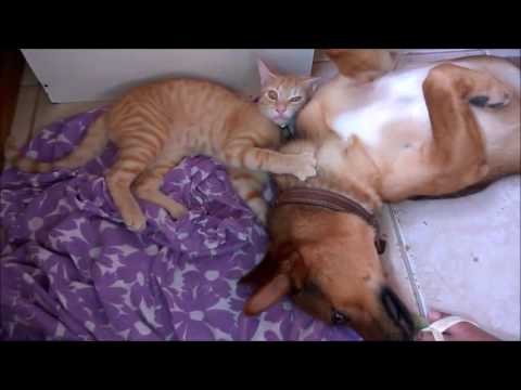 Get out of my place!