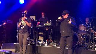 BLACK GRAPE - SHAKE WELL BEFORE OPENING - TRAMSHED - CARDIFF - 15.03.19