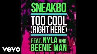 Sneakbo - Too Cool (Right Here) ft. Nyla, Beenie Man