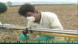 |Curiosidades| Técnica Rural - Tecnologia de Aplicação  para Cana de Açúcar.