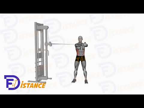 Exercice Rotation du buste à la poulie