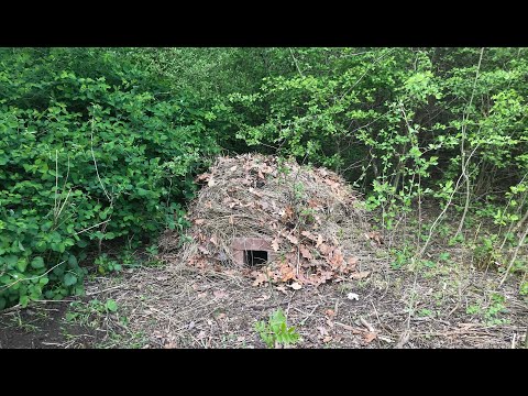 Rädda igelkottarna med ett bo - Trädgårdshacks med GardenR