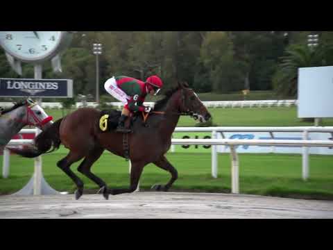 230526 c03 - EL VIENTO PASA (ARG) - HIPODROMO DE MAROÑAS