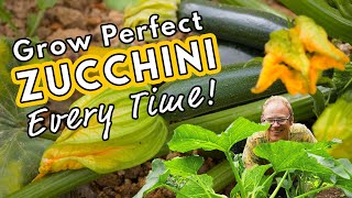Grow Perfect Zucchini Every Time! 💚
