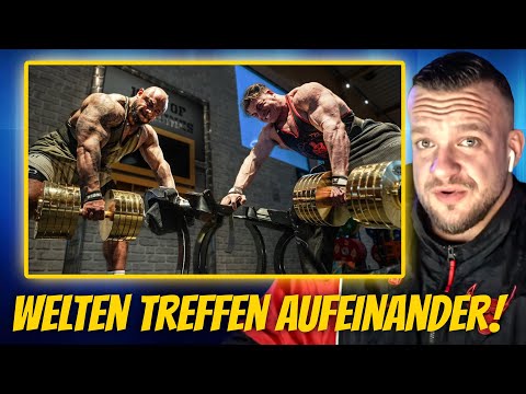 He doesn't understand the world anymore! Is Kalle Jabal stronger than Johnny? William Niewiara's ...