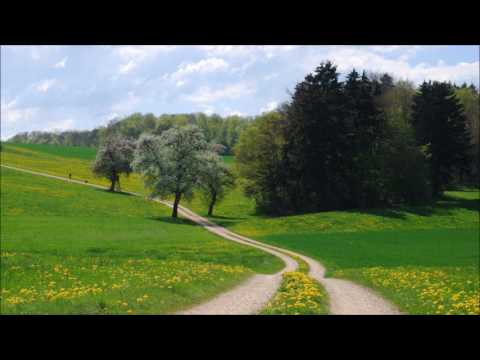 MUCHACHITA CAMPESINA - NELSON MENDEZ