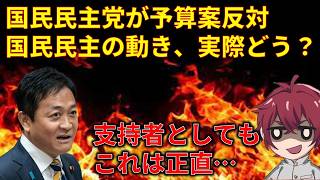国民民主党の最近の予算案に関する動きについて＆胸糞悪すぎる辺野古船沈没事件について