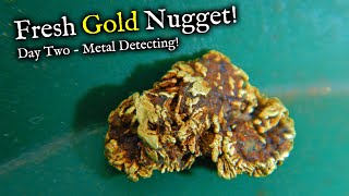 Finding the LARGEST GOLD nugget of the year!