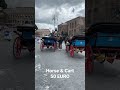 HORSE CART RIDE IN ROME TRAVELS IN ROME ITALY 50 EUROS FOR 15 MINUTES RIDE ITALIAN TRAVELS