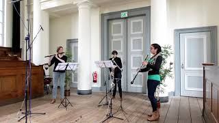 Dividivi3, Verano Porteno - Astor Piazzolla