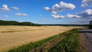 Diana Ross - Summertime (1 photo)