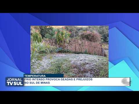 Frio intenso provoca geadas e prejuízos no Sul de Minas