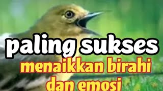 Download lagu dalam hitungan detiik..!! sirpu/cipow apapun langsung GACOR dan EMOSI dengan sirtu gacor ngalas ini mp3
