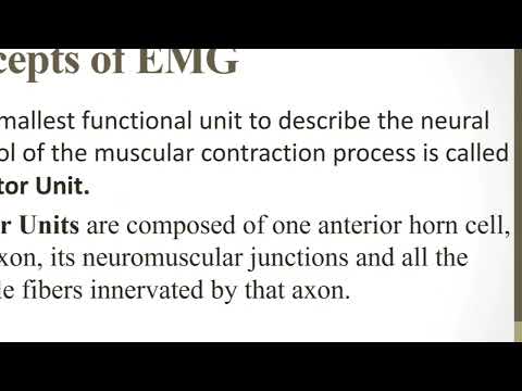 Kinesiological EMG and it's concept by Dr Kirti Chhabra| Physiotherapy| RPIIT
