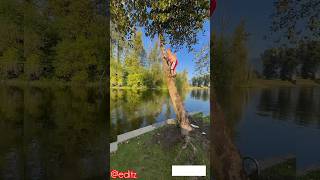 Download lagu tree swing fail 🤣☠️ #shorts ##ytshorts #viral #tranding mp3 Download lagu tree swing fail 🤣☠️ #shorts ##ytshorts #viral #tranding mp3
