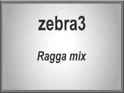 zebra3 - raggamix (I supposse it is mixed by Congo Natty)