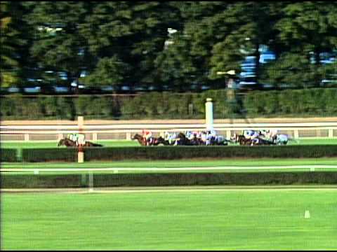 1990 Breeders' Cup Turf