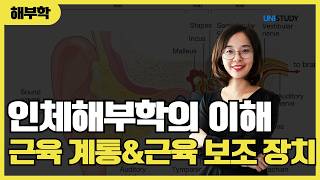 [유니스터디] 인체해부학의 이해 | 근육 계통&근육 보조 장치