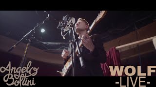 Angelo Boltini - Wolf (Live at Kytopia)