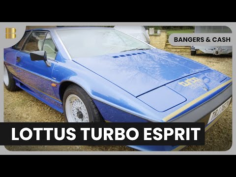 Finding a Lotus Esprit Turbo - Bangers & Cash - S04 EP10 - Car Show