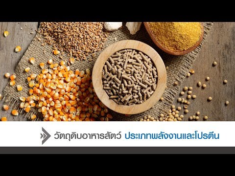 การเยียวยาชาวบ้านในการรักษาความอ่อนแอในผู้ชาย รักษาความอ่อนแอในผู้ชายด้วยสมุนไพร