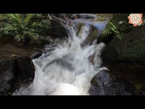 Buddhismus Weisheitsgeschichte | Glück , Frieden und Harmonie in Dir  | Kraft der Gegenwart